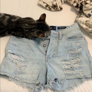 Shredded Hollister shorts
